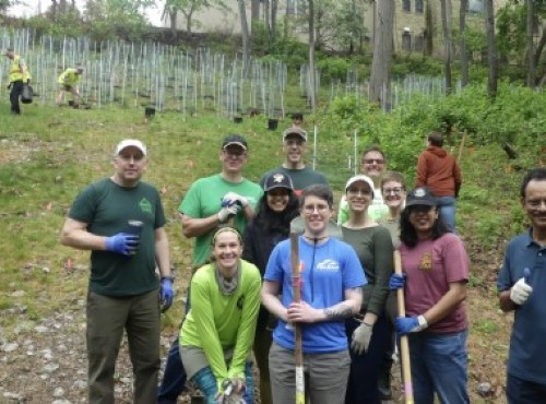 FHLBank Volunteers Join Hands with Local Community for a Green Cause