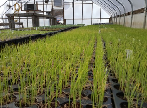 BOB Funds Support Organic Farm in Western Pennsylvania